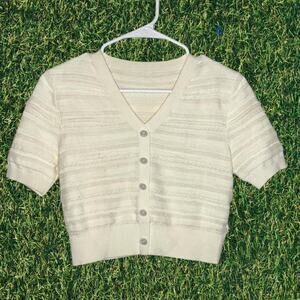 Goelia pearl button textured